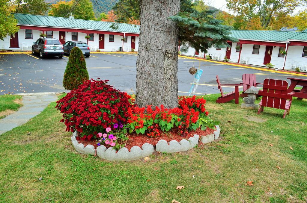 Williamstown Motel Extérieur photo